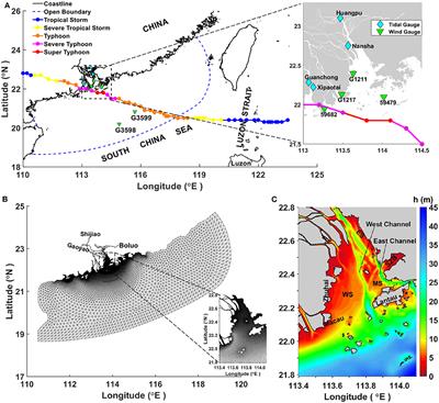 Tide-Surge Interaction in the Pearl River Estuary: A Case Study of Typhoon Hato